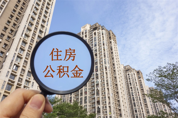 东莞公积金为什么封存6个月才能取（东莞公积金封存了）